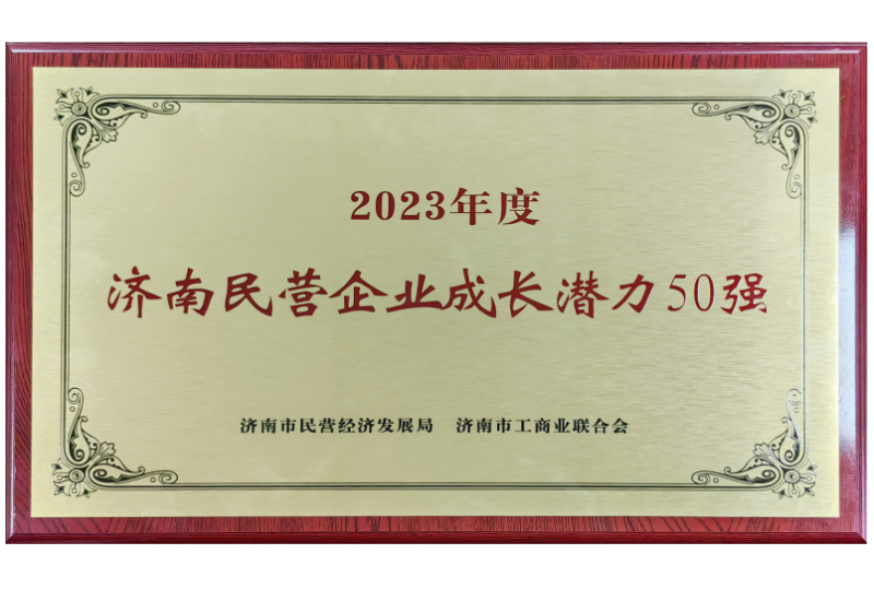 濟(jì)南市民營企業(yè)成長潛力50強(qiáng)